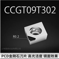 CCGT09T302/CCGT09T304